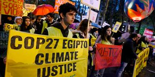 COP27 Demonstrators