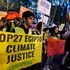 COP27 Demonstrators