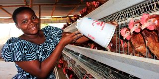 Anna Ndunda feeds chicken at Kambi Ya Mawe Village in Makueni County