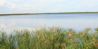 Lake Kanyaboli which is in the Yala swamp