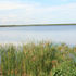 Lake Kanyaboli which is in the Yala swamp