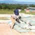 Harvesting season: Workers pack maize after drying at Simatwet in Trans Nzoia County on October 24, 2022