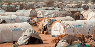Daadab refugee camp