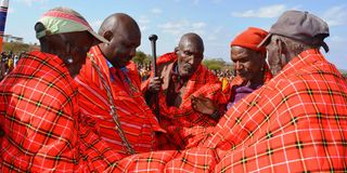 Elders dressed in shukas from the populous Purko clan in Narok County 