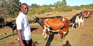 Henry Rop, the farm manager at Open Arms Rescue Centre in Mlango