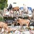 A heap of garbage piled along the streets of Elburgon Town in Nakuru County on January 4, 2023.