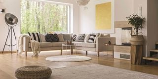 cozy spacious living room