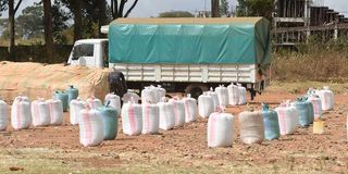 Sacks of dry maize outside Kipchoge Keino Stadium in Eldoret town