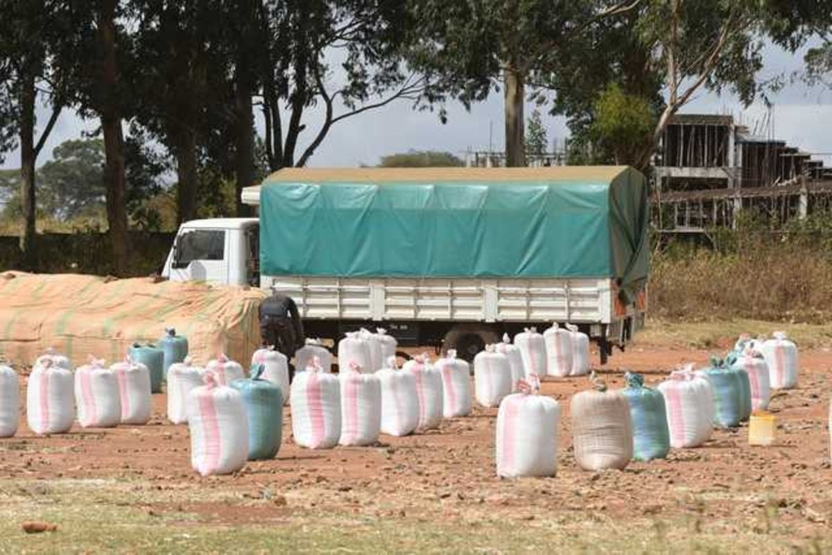 Farmers in the soup as imported maize lands