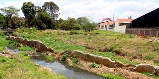 Nairobi River 