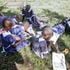 Pupils of Mboto Sunrise primary school do their CBC assignment