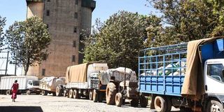 Trucks loaded with maize queue to deliver the produce to the National Cereals and Produce Board, Eldoret depot