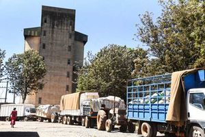 Trucks loaded with maize queue to deliver the produce to the National Cereals and Produce Board, Eldoret depot