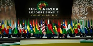 US-Africa Summit