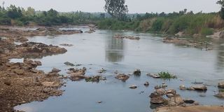  River Nzoia in Ugenya