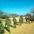 Turkana police patrol