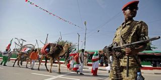 Somaliland soldier