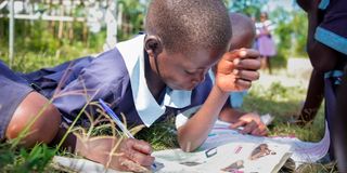 Pupils at Mboto Sunrise Primary School work on their competency-based curriculum assignment under a tree
