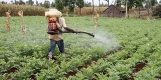 spraying crops 