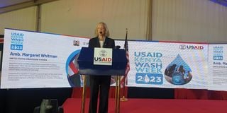 US Ambassador to Kenya Margaret Whitman