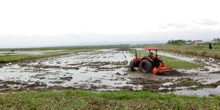 West Kano Irrigation Scheme 