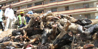 dumped kitengela meat
