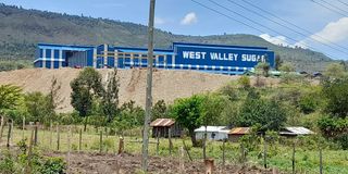 West Valley Sugar Company 