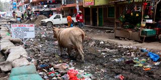 A pile of uncollected garbage lies on the street between buildings in Pipeline, Nairobi