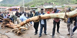  a log that had fallen and blocked the Kitale -Lodwar highway following a heavy downpour and raging floods on March 26, 2023.