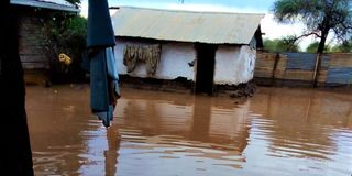 Floods submerge homes