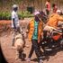 Part of the gang that invaded Kenyatta family-owned Northlands City make away with livestock stolen from the farm