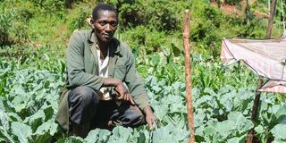 David Maina Kamau works on his collar greens