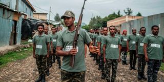 Amhara forces