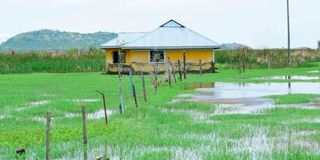 Bondo floods