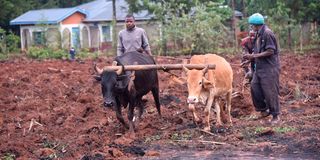 Msalaba village farmers 