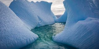 Icebergs surround Galindez Island in Antarctica