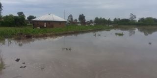 kisumu flooding