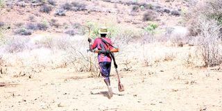 A herdsman armed with a gun in Lokichogio, Turkana County, in March last year.