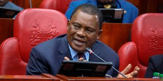 Attorney-General Justin Muturi when he appeared before the Senate Committee on the Shakahola deaths 