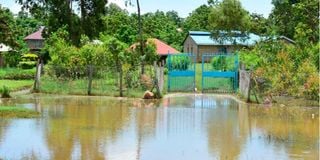 Lake Sare Floods