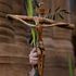A Catholic pilgrim holds up a crucifix and a palm branch during the Palm Sunday procession in Jerusalem.