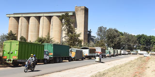 Trucks loaded with maize queuing to deliver the produce to the NCPB, Eldoret depot in Uasin Gishu County on February 02, 2023.