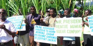 Former Mumias Sugar Company employees