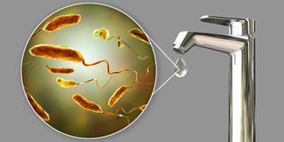  cholera bacteria water tap