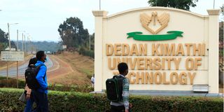 The entry to Dedan Kimathi University in Nyeri County