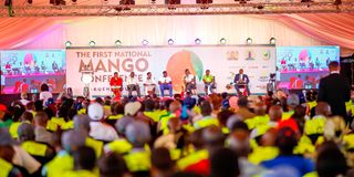 Panellists during a session on May 16 at the first national mango conference held Wote town