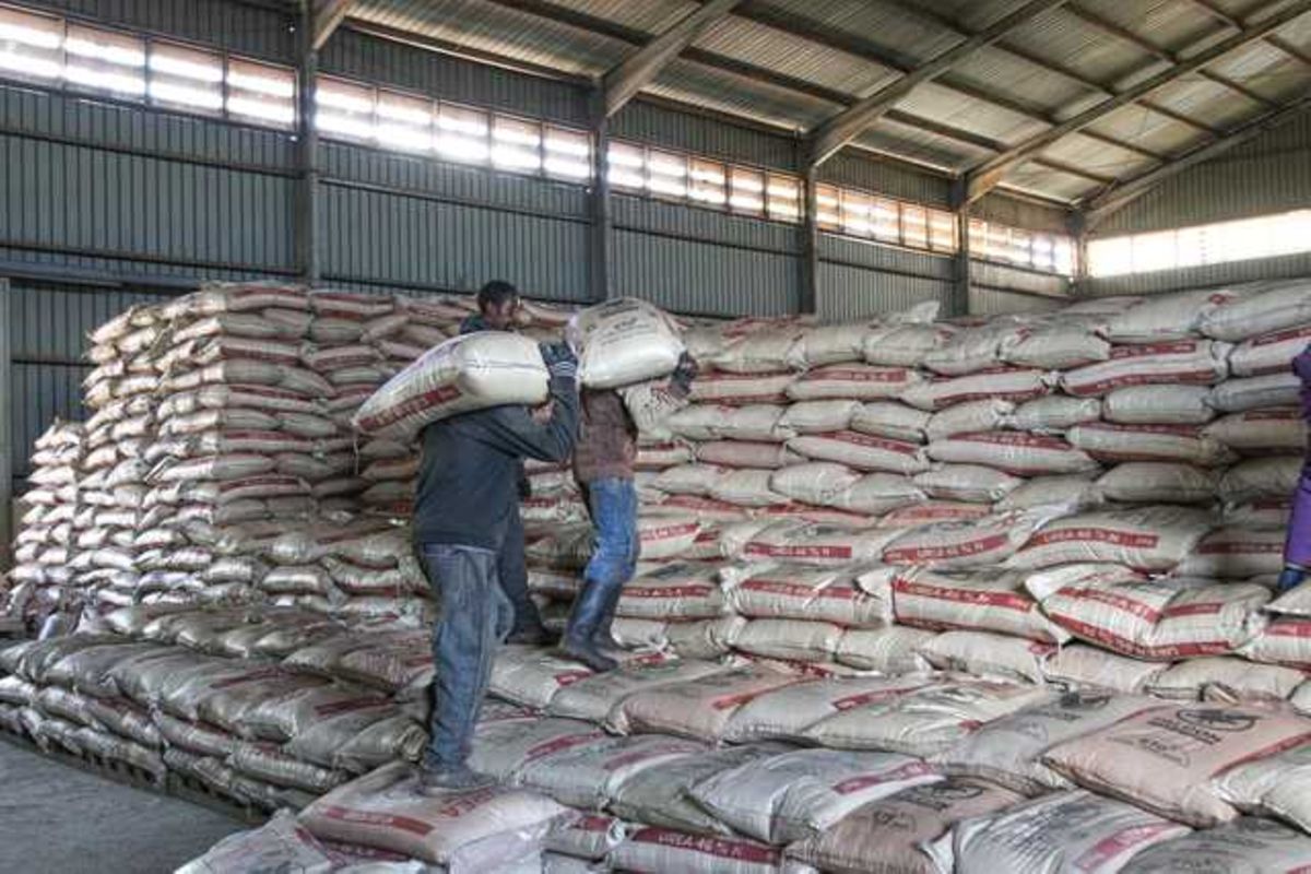 Customised fertiliser vital for national food security