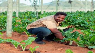 Isaac Kasonde, 22, a Kenyan farmer based in Botswana
