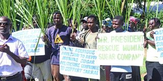 A protest by former Mumias Sugar staff 