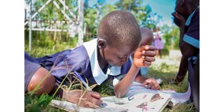 Pupils at Mboto Sunrise Primary School work on their competency-based curriculum assignment under a tree